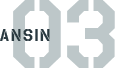 ANSIN03